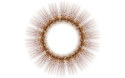 2014 04 26 Afternoon From Blanks 49-white.jpg